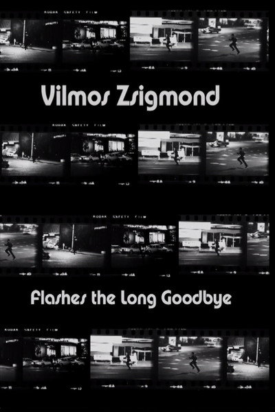 Póster de Vilmos Zsigmond Flashes 'the Long Goodbye'