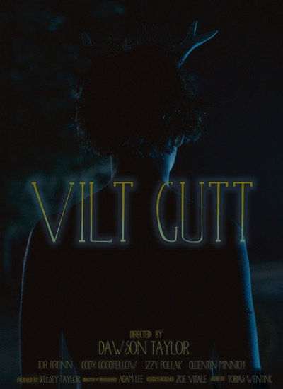 Póster de Vilt Gutt