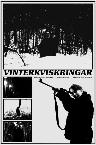 Póster de Vinterkviskringar