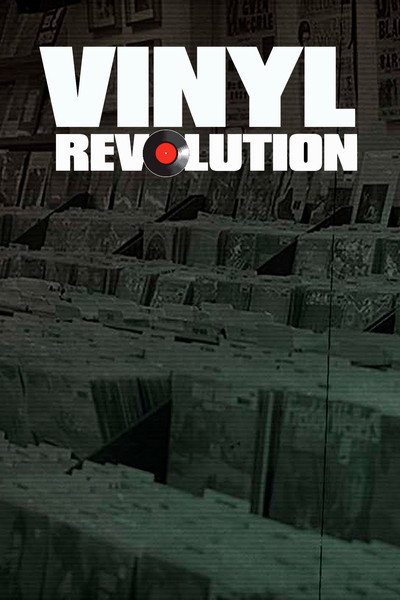Póster de Vinyl Revolution
