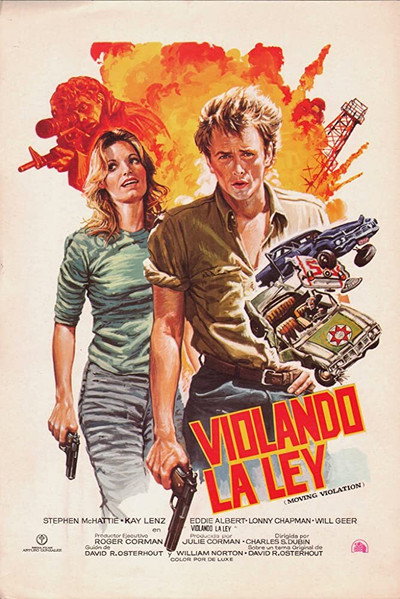 Póster de Violando la ley