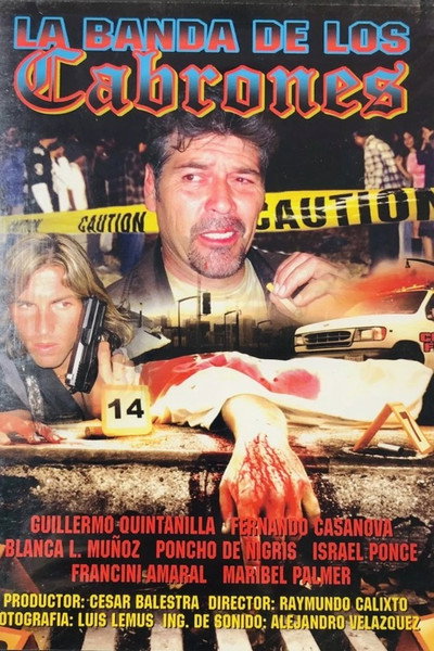 Póster de Violencia en las calles
