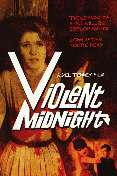 Póster de Violent Midnight