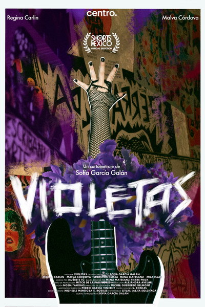 Póster de Violetas