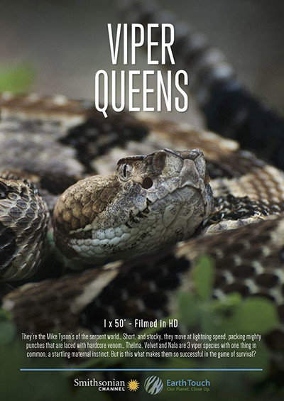 Póster de Viper Queens