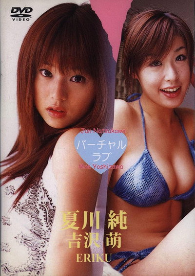 Póster de Virtual Love