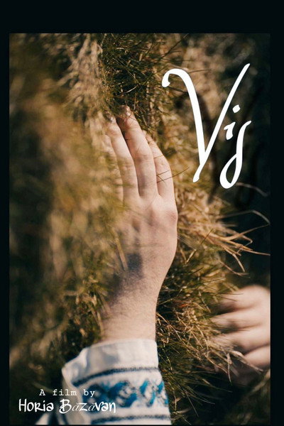 Póster de Vis