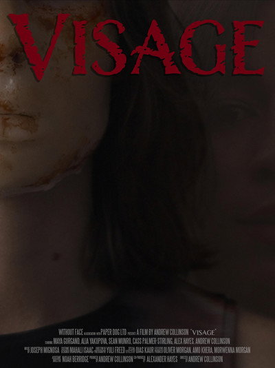 Póster de Visage