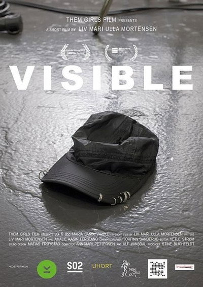 Póster de Visible