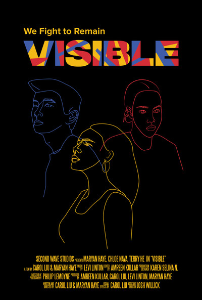 Póster de Visible