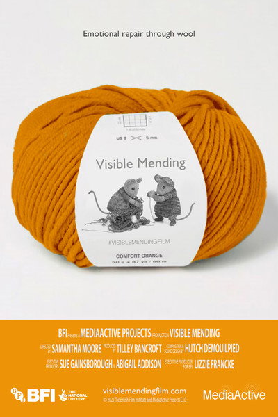 Póster de Visible Mending