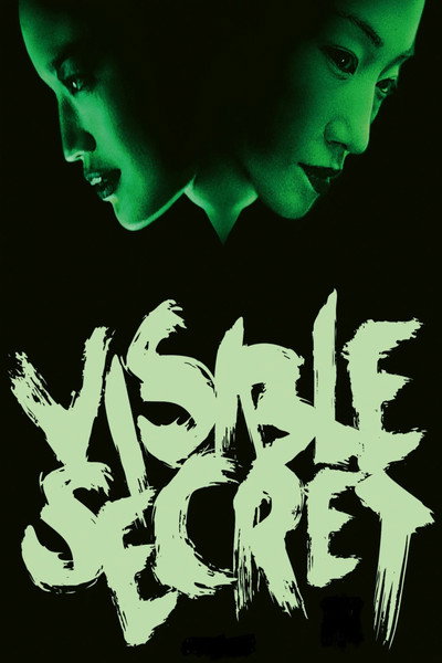 Póster de Visible Secret