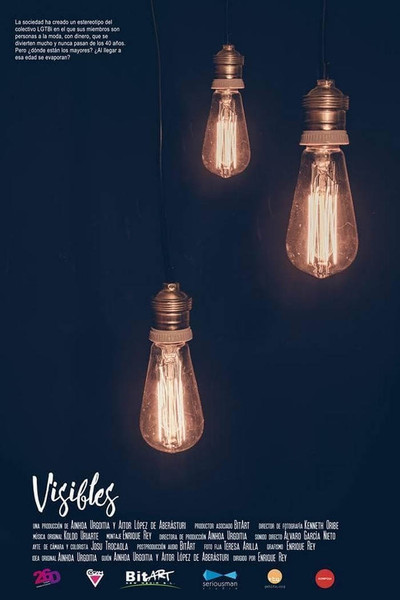 Póster de Visibles
