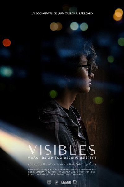 Póster de Visibles: Historias de Adolescencias Trans