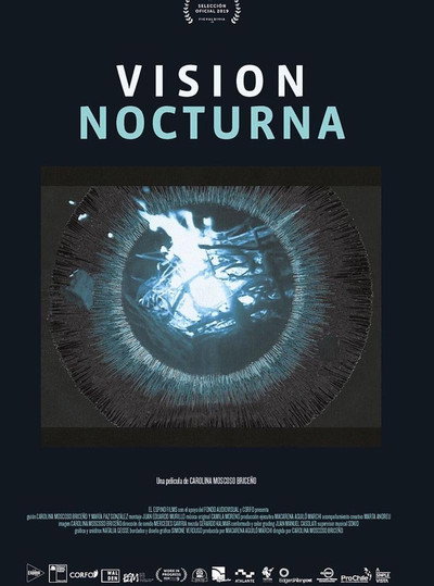 Póster de Visión nocturna