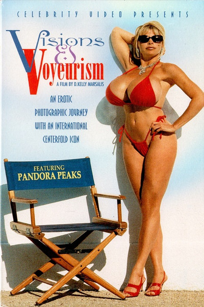 Póster de Visions and Voyeurism