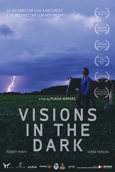 Póster de Visions in the Dark