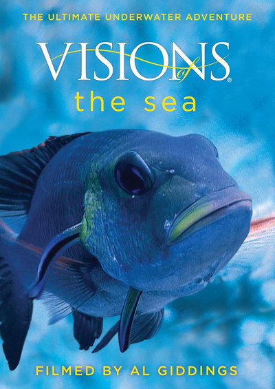 Póster de Visions of the Sea: Explorations