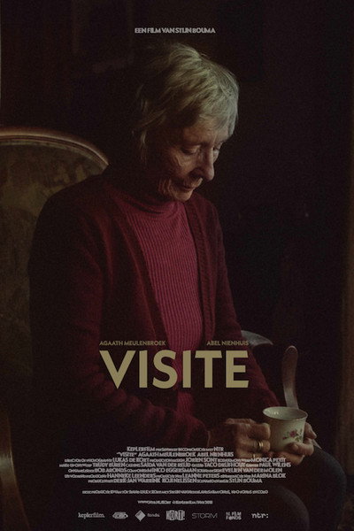 Póster de Visit