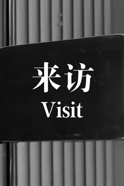 Póster de Visit