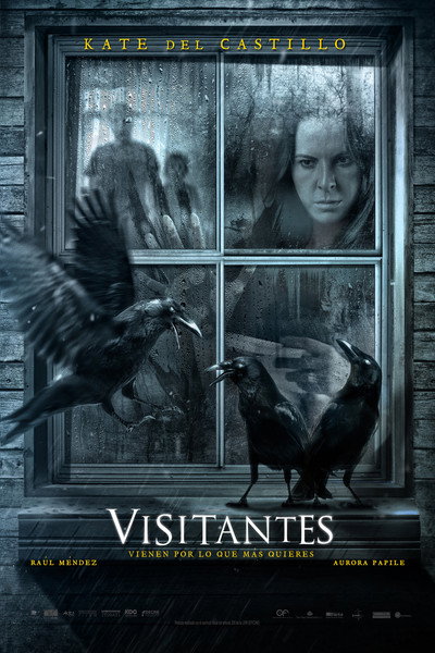 Póster de Visitantes