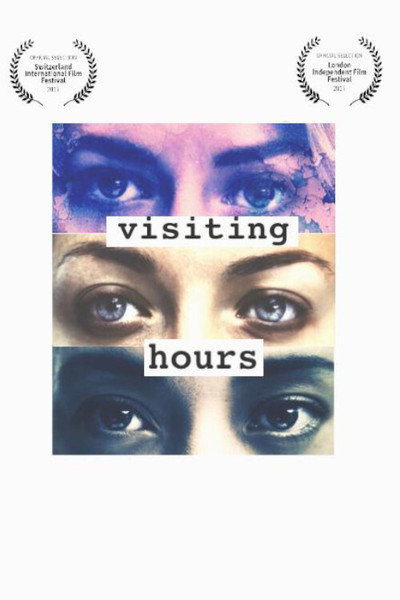 Póster de Visiting Hours