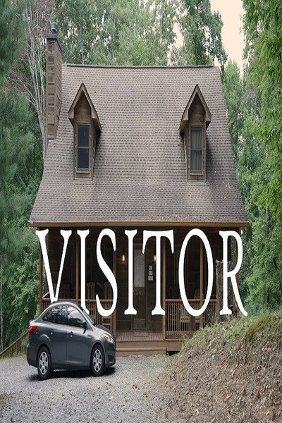 Póster de Visitor