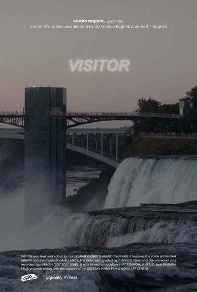 Póster de Visitor