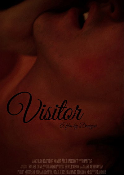 Póster de Visitor