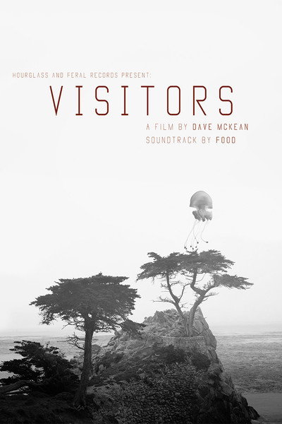 Póster de Visitors