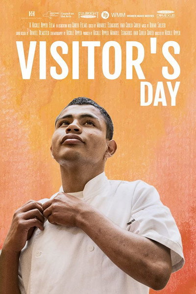 Póster de Visitor's Day