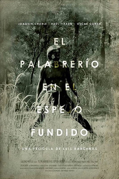 Póster de Vistas