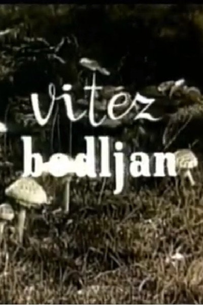 Póster de Vitez bodljan