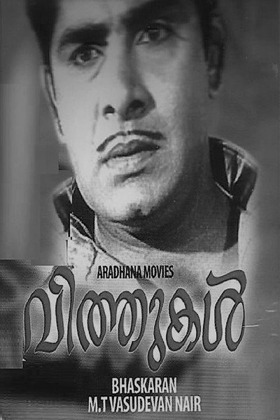 Póster de Vithukal