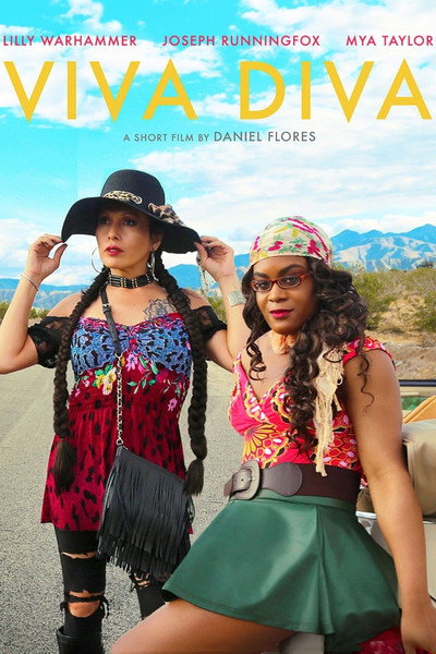 Póster de Viva Diva