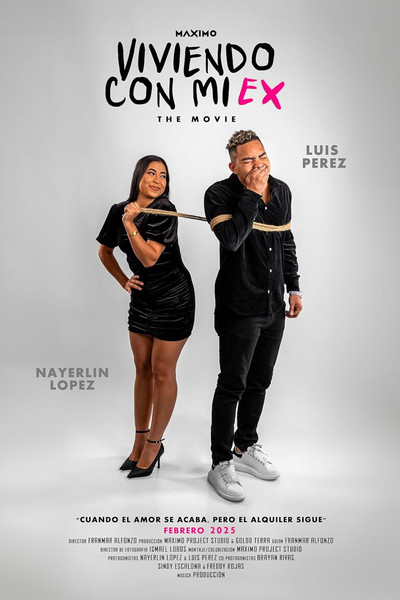 Póster de Viviendo con mi ex