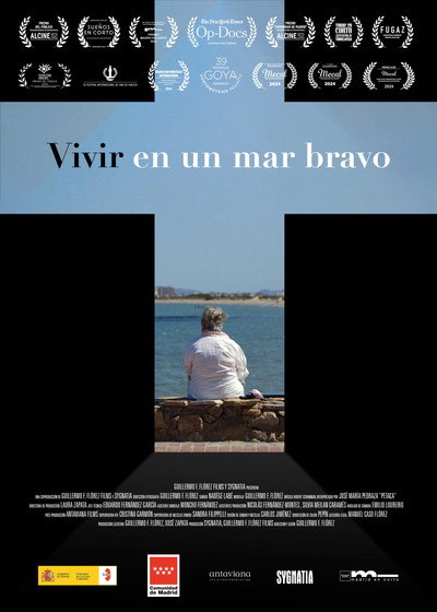 Póster de Vivir en un mar bravo