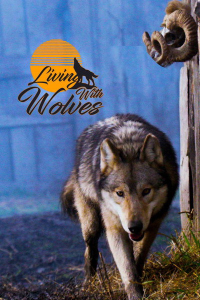 Póster de Vivre avec les loups
