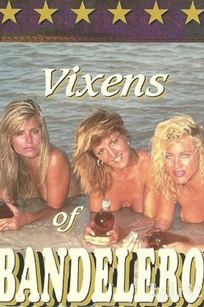 Póster de Vixens of Bandelero