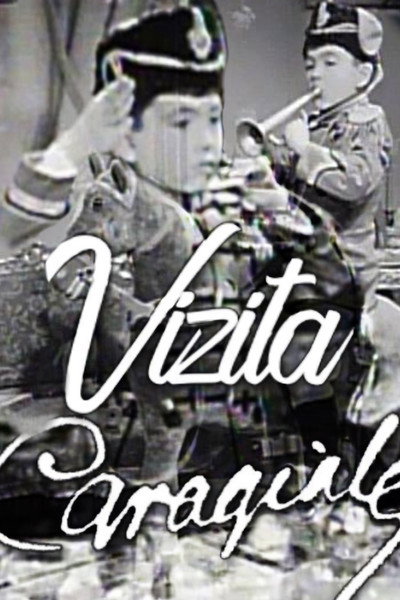 Póster de Vizita