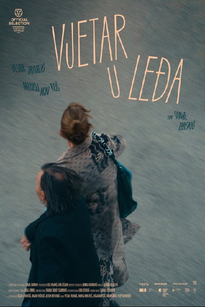 Póster de Vjetar u ledja