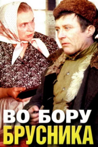 Póster de Vo boru brusnika
