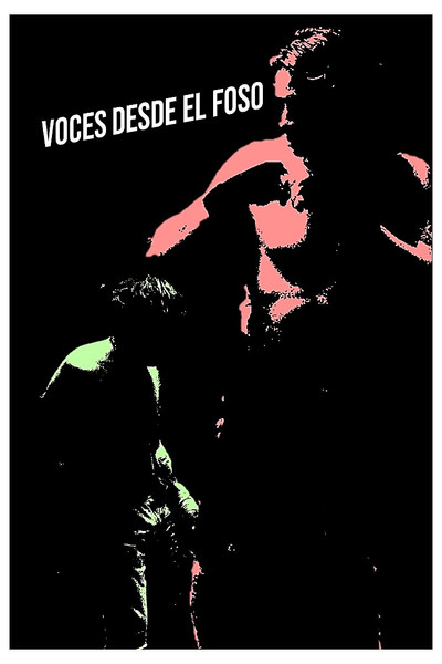 Póster de Voces desde el foso
