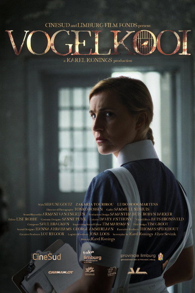 Póster de Vogelkooi