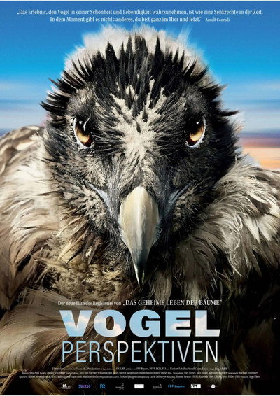 Póster de Vogelperspektiven