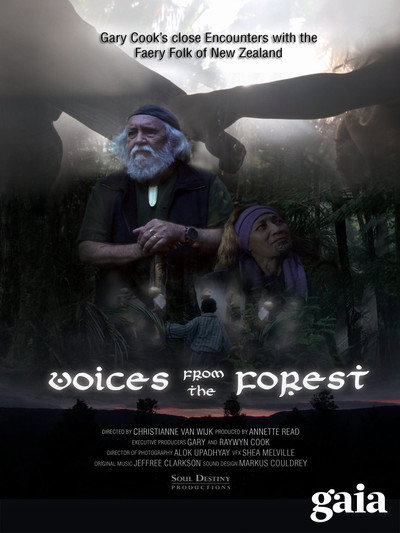 Póster de Voices from the Forest
