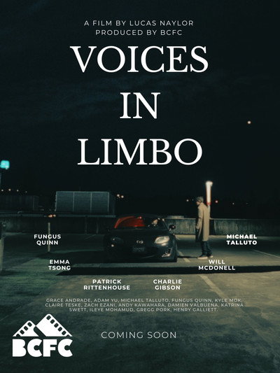Póster de Voices in Limbo