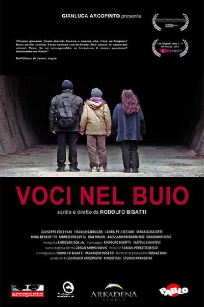 Póster de Voices in the Dark