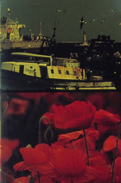 Póster de Voiliers et coquelicots