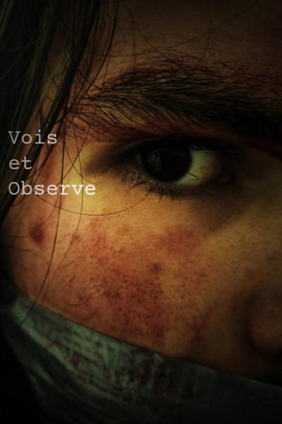 Póster de Vois et Observe